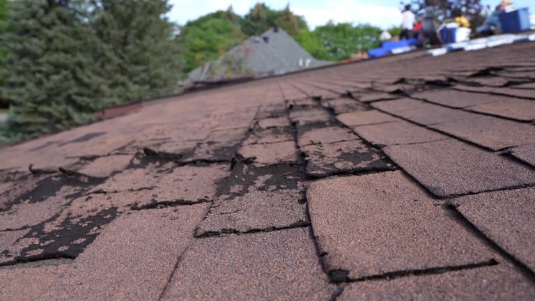 Best Roofing for New Construction  in Affton, MO