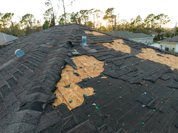 Best Sheet Metal Roofing  in Affton, MO