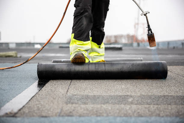 Best Solar Panel Roofing Installation  in Affton, MO